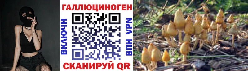 kraken   Балаково  Псилоцибиновые грибы мухоморы  даркнет сайт 